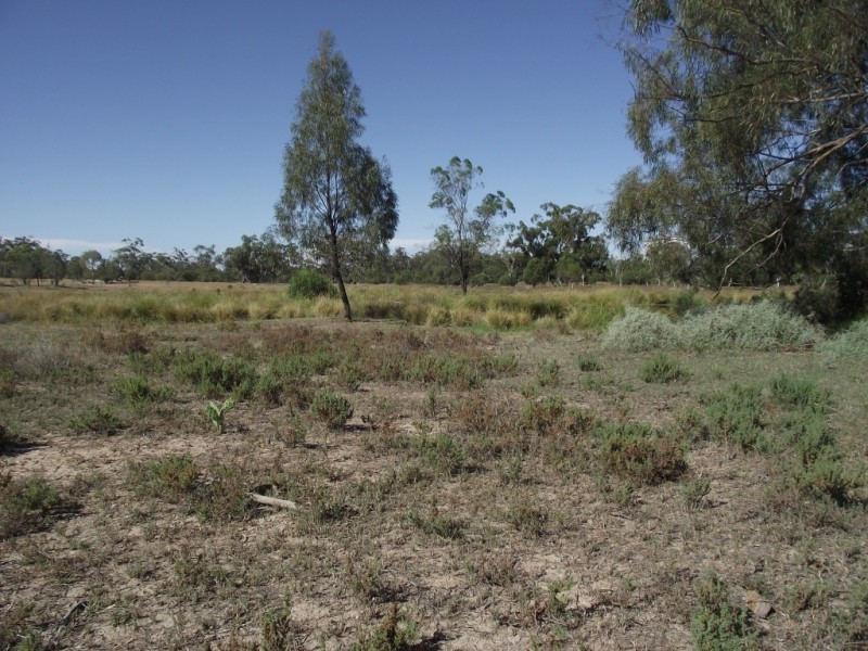 27966 Cunningham Hwy, Yelarbon QLD 4388