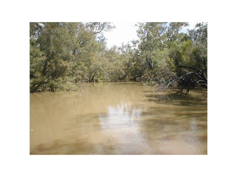 Boronga, Boomi NSW 2405