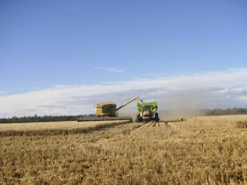 Sterling Road, Boggabilla NSW 2409