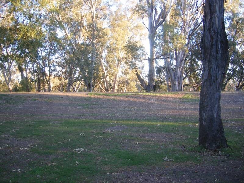 3a Frideswide Street, Goondiwindi QLD 4390