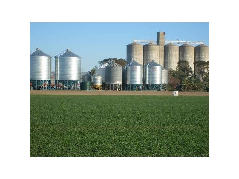 The Heart Of The Golden Triangle, Croppa Creek NSW 2411