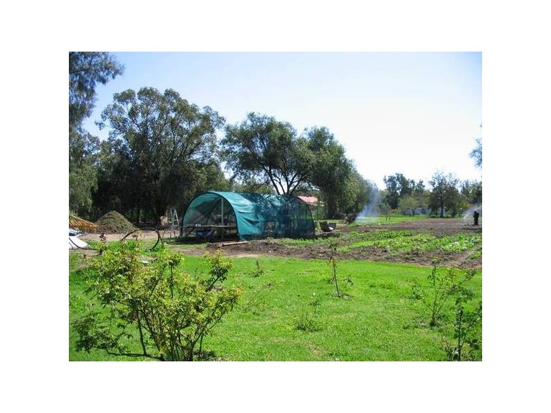 Yeoman Street, Boggabilla NSW 2409