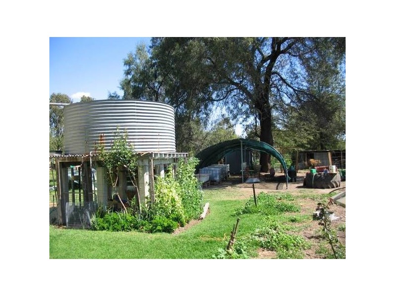 Yeoman Street, Boggabilla NSW 2409