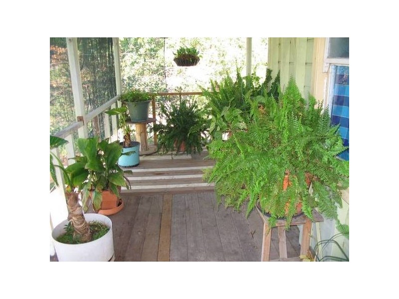 82 Yeoman Street, Boggabilla NSW 2409