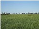 * Scudamores Road, Goondiwindi QLD 4390