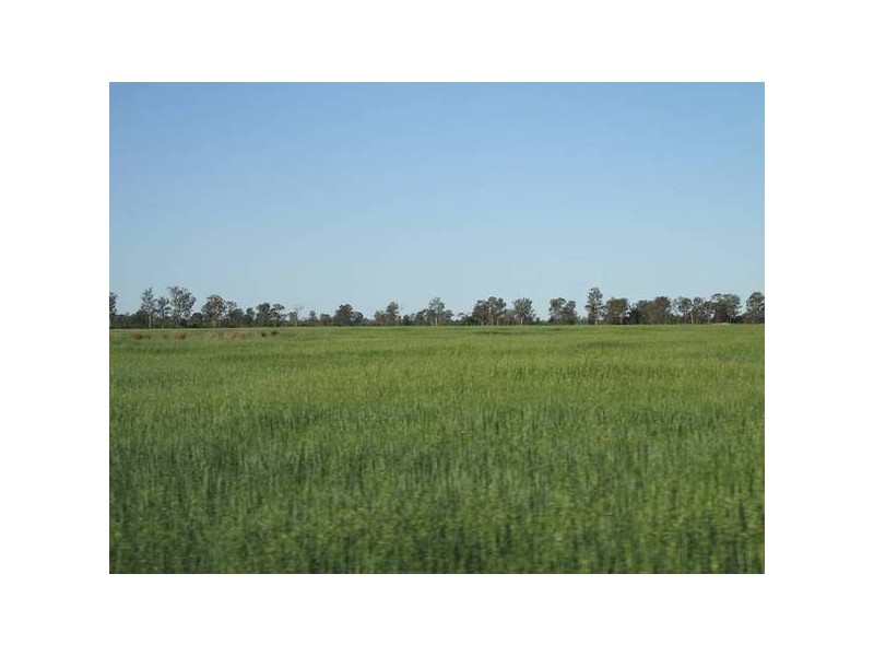 * Scudamores Road, Goondiwindi QLD 4390