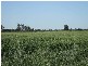 * Scudamores Road, Goondiwindi QLD 4390