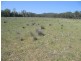 Inglewood QLD 4387