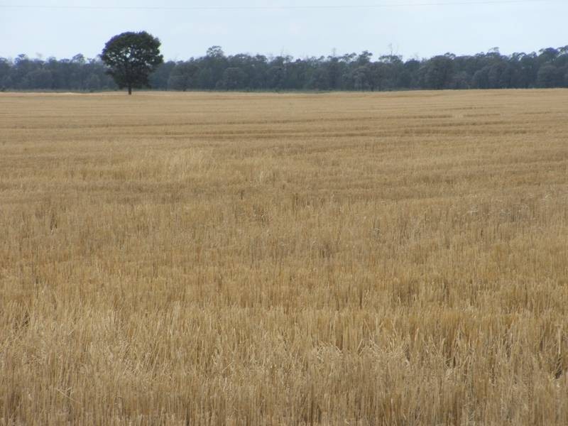 Goondiwindi QLD 4390