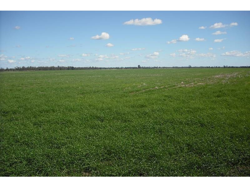Goondiwindi QLD 4390