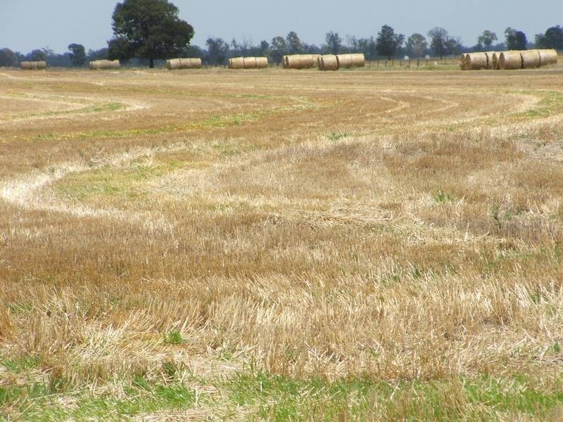 Goondiwindi QLD 4390