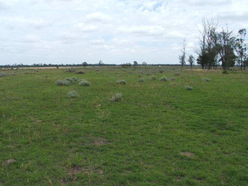 Goondiwindi QLD 4390