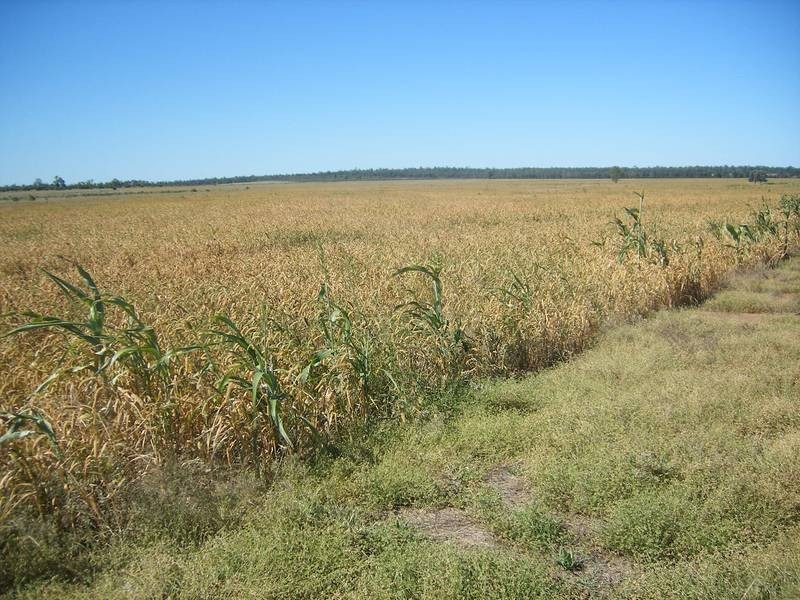 Goondiwindi QLD 4390