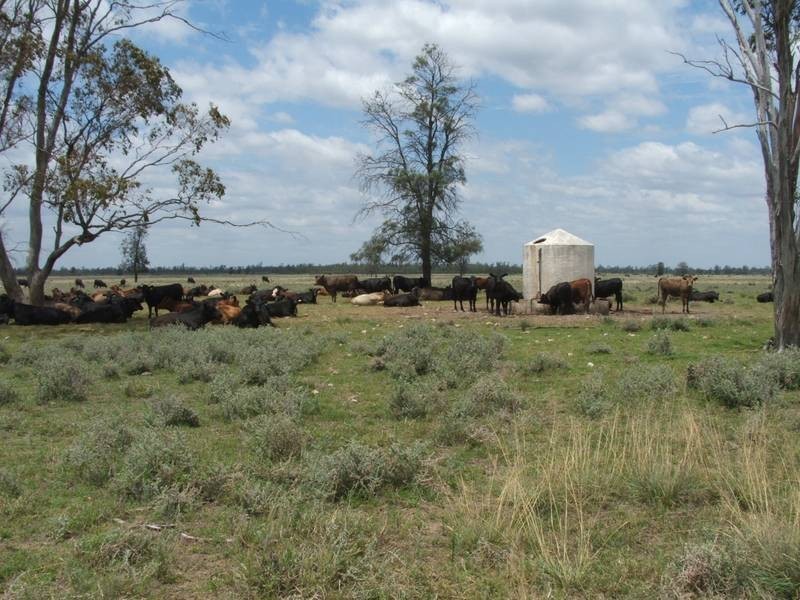 Goondiwindi QLD 4390