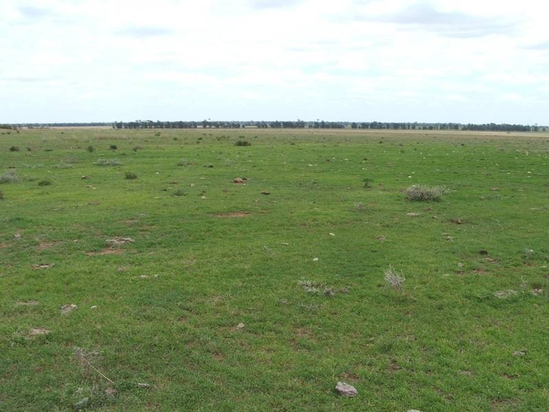 Goondiwindi QLD 4390