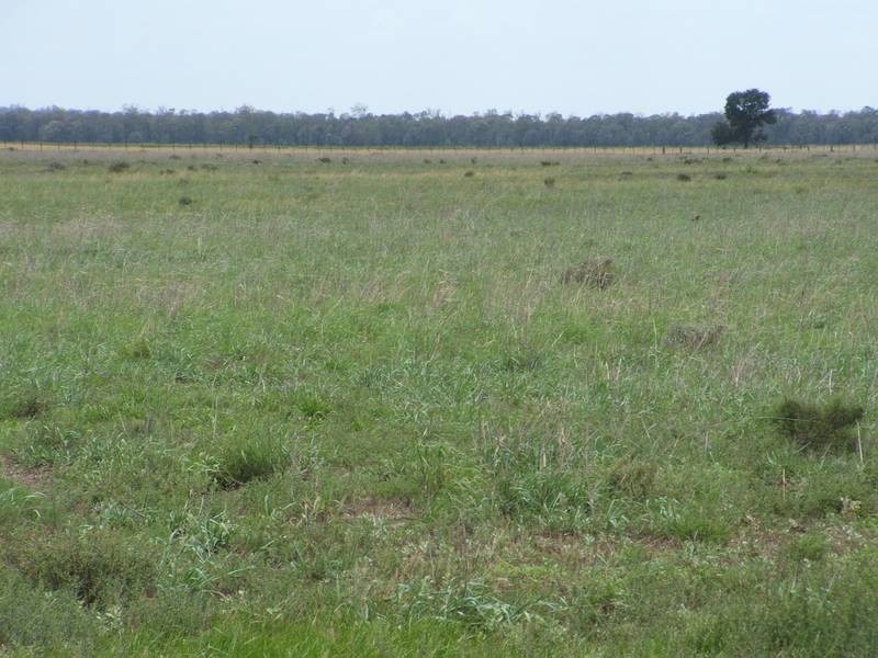 Goondiwindi QLD 4390