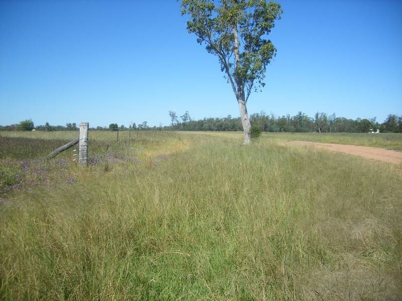 Goondiwindi QLD 4390