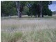 Yelarbon QLD 4388