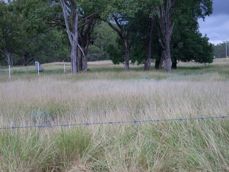 Yelarbon QLD 4388
