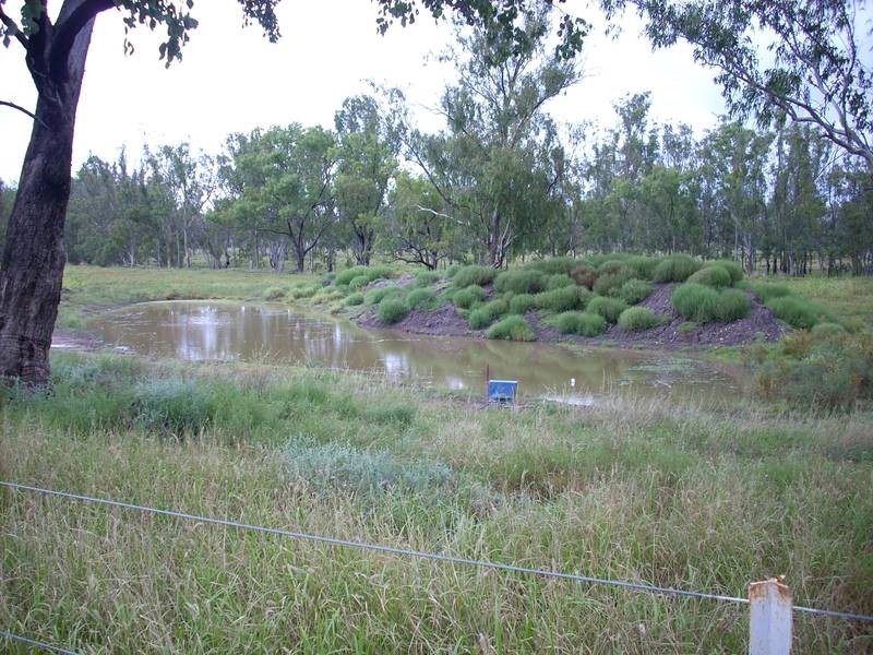 Yelarbon QLD 4388