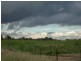Yelarbon QLD 4388