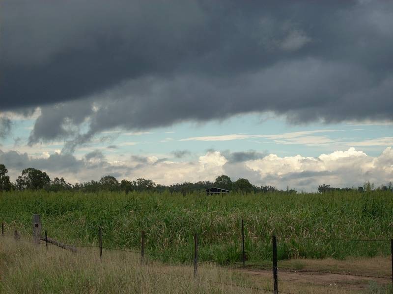 Yelarbon QLD 4388
