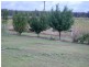 Yelarbon QLD 4388
