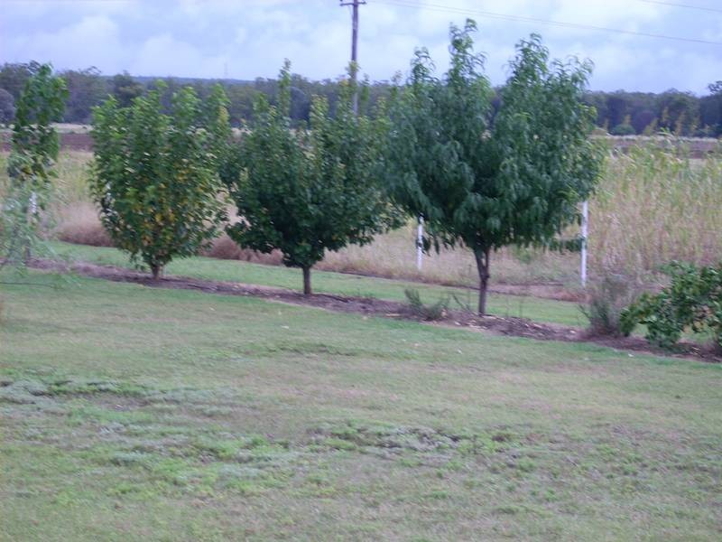 Yelarbon QLD 4388