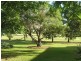 61 Glasser Street, Goondiwindi QLD 4390