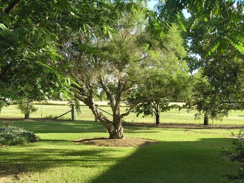 61 Glasser Street, Goondiwindi QLD 4390