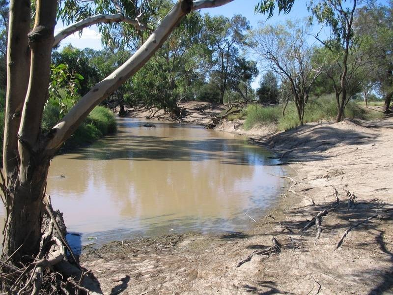 * Goodar, Goondiwindi QLD 4390