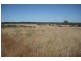 * Goodar, Goondiwindi QLD 4390