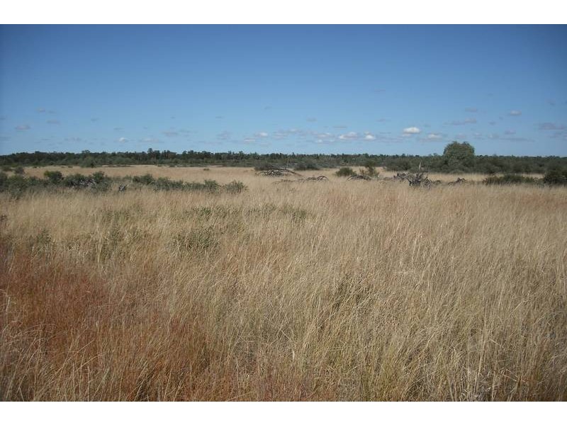 * Goodar, Goondiwindi QLD 4390