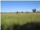 * Goodar, Goondiwindi QLD 4390