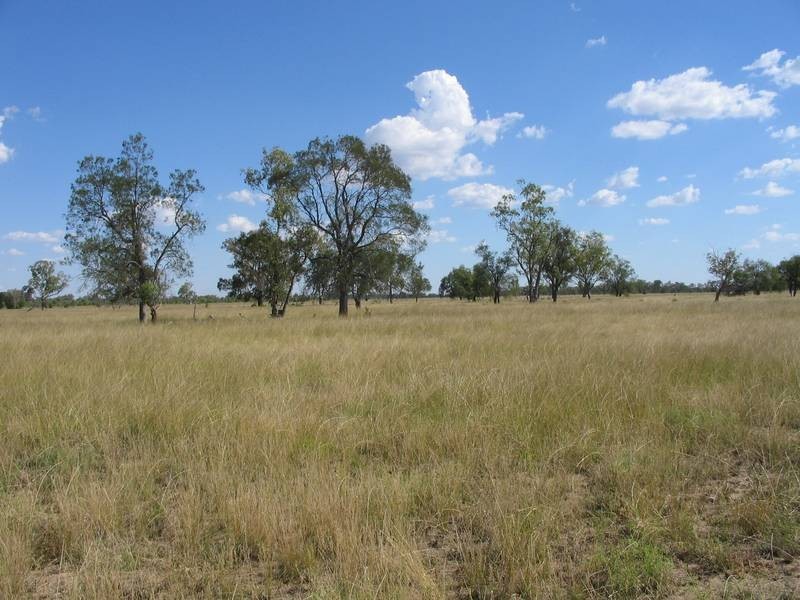 * Goodar, Goondiwindi QLD 4390