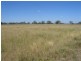 * Goodar, Goondiwindi QLD 4390