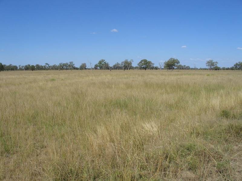 * Goodar, Goondiwindi QLD 4390
