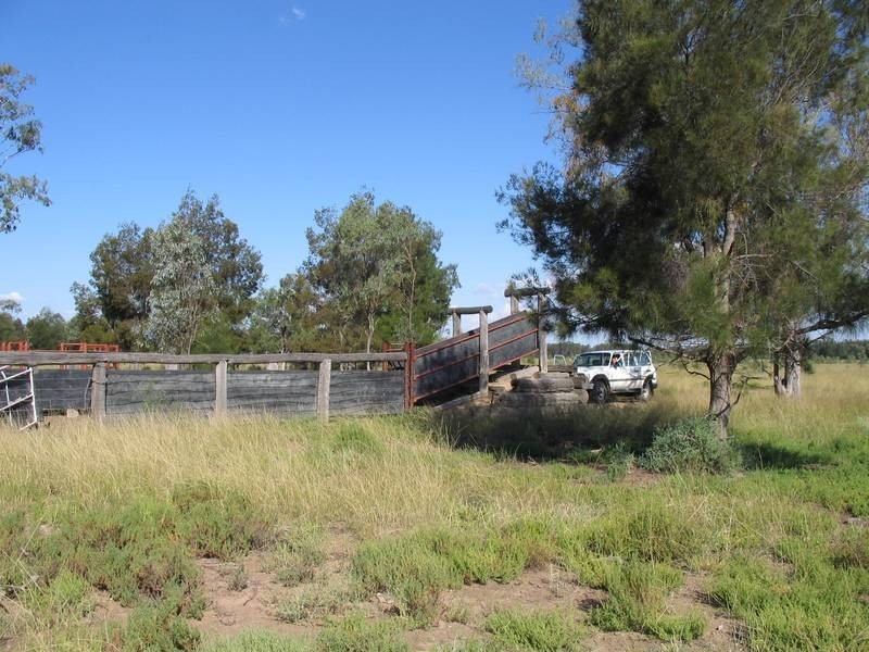 * Goodar, Goondiwindi QLD 4390