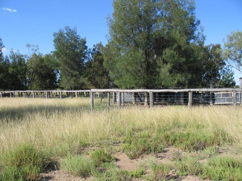 * Goodar, Goondiwindi QLD 4390