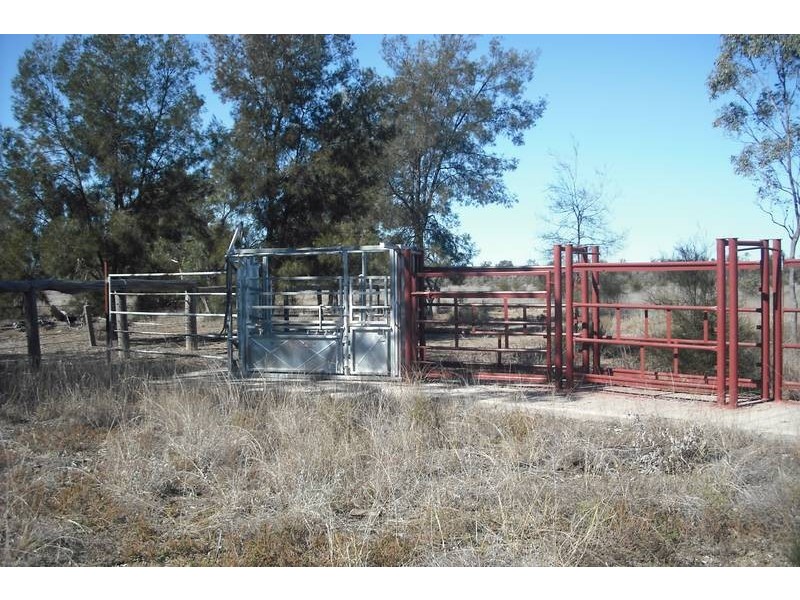 * Goodar, Goondiwindi QLD 4390