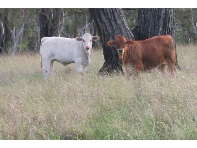 1 Saddletop Rd, Upper Pilton QLD 4361