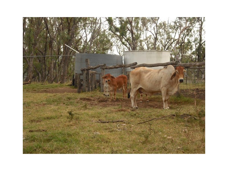 1 Saddletop Rd, Upper Pilton QLD 4361