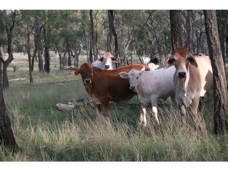 1 Saddletop Rd, Upper Pilton QLD 4361