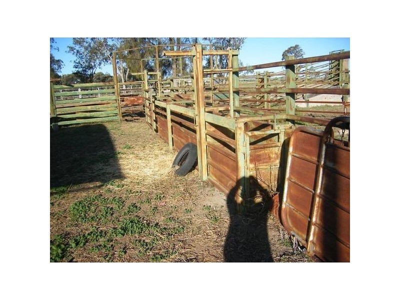 Goondiwindi QLD 4390