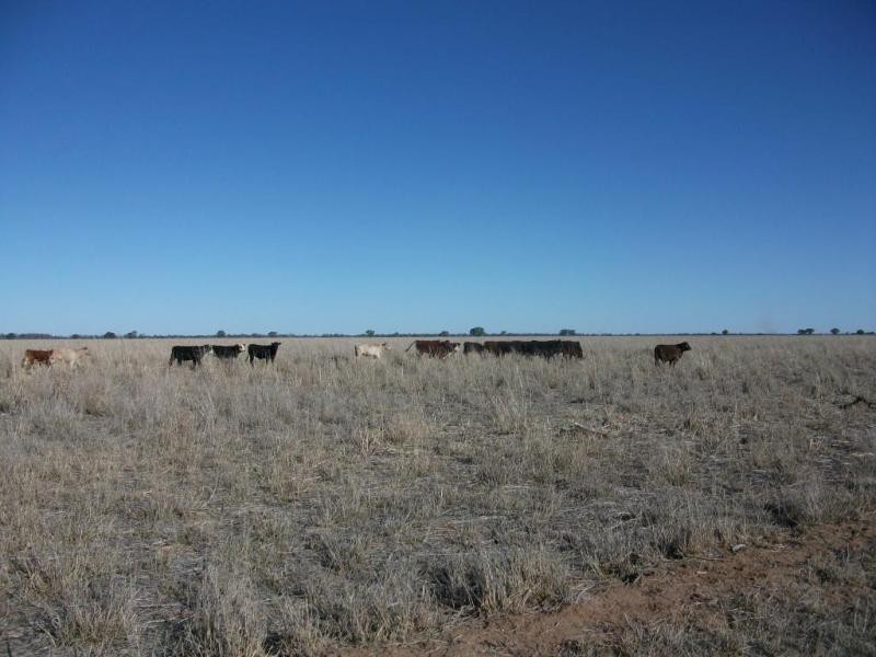 . ., Talwood QLD 4496