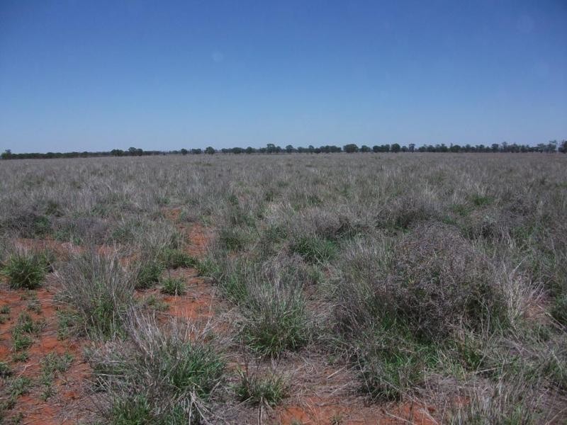 . ., Talwood QLD 4496