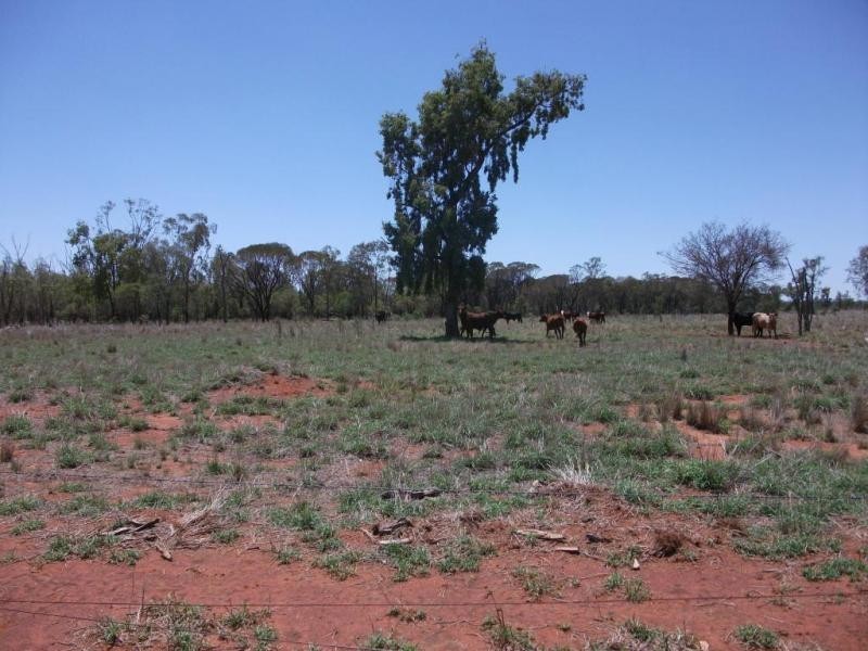 . ., Talwood QLD 4496