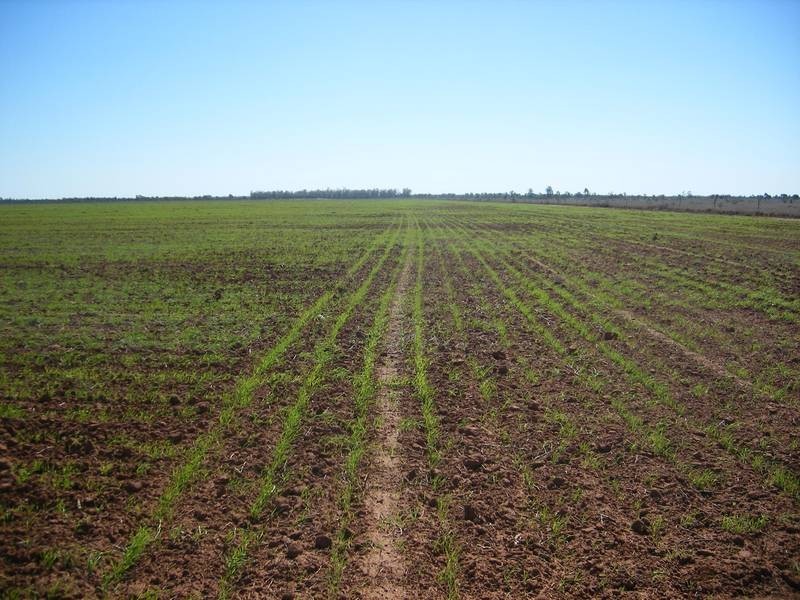 . ., Talwood QLD 4496