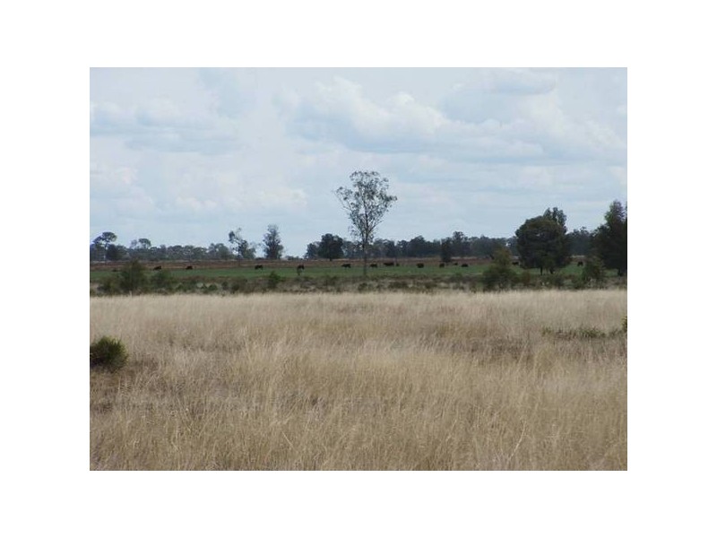 3158 Hoadleys Rd, Hannaford QLD 4406