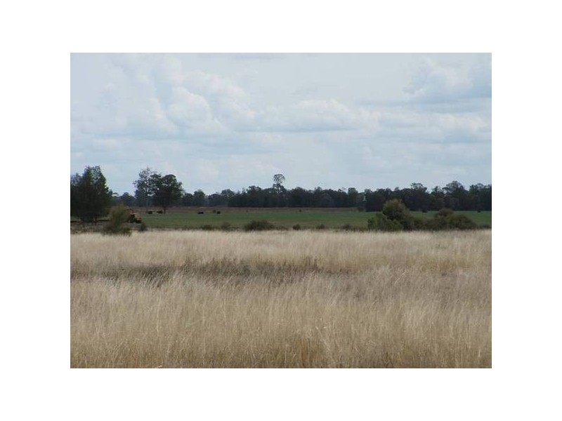 3158 Hoadleys Rd, Hannaford QLD 4406